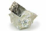 Shiny Natural Pyrite Cube in Rock - Navajun, Spain - Photo 4